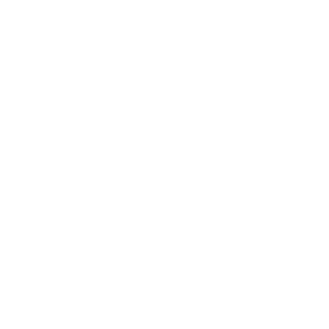 amvox