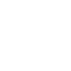 ventisol